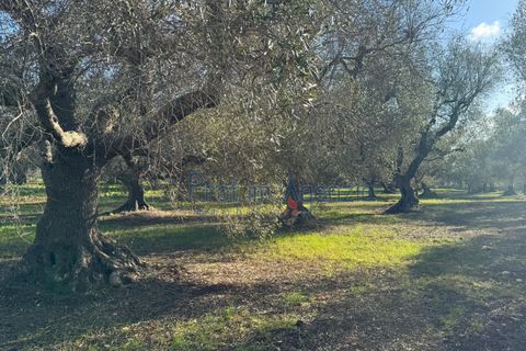 Landejendom i Ostuni, Brindisi, Ostuni - € 53.000 | Ref: 172821 - foto 5